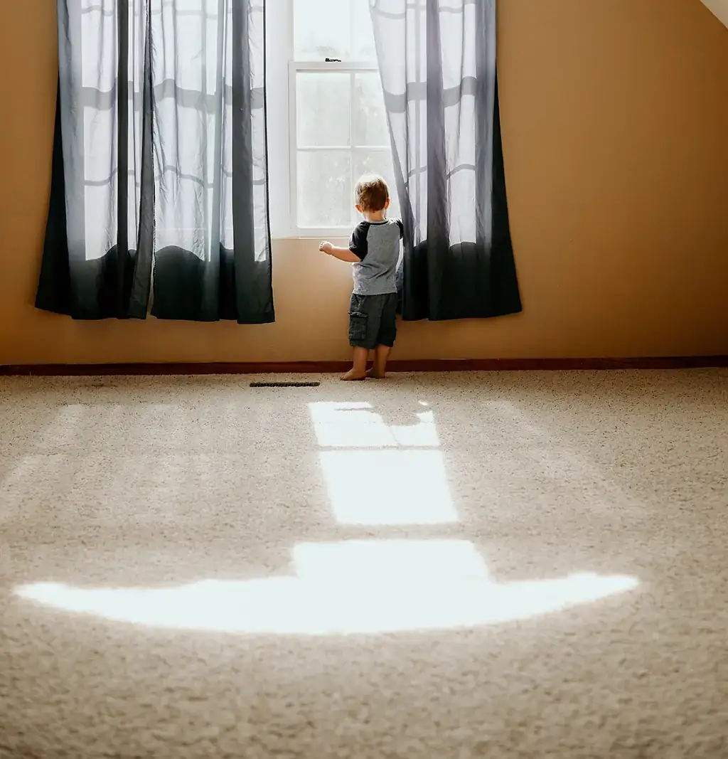 Fresh carpet in a light-filled family home